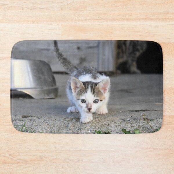 Item preview, Baby kitten on the prowl – awake and curious / Swiss Artwork Photography designed and sold by Raphael Wolf.