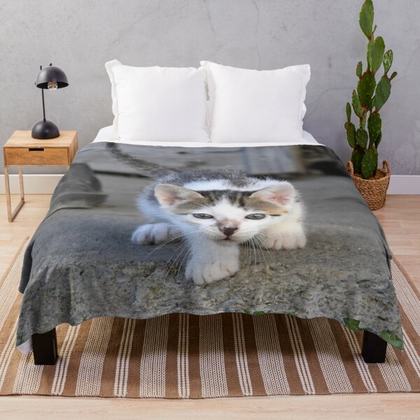 Item preview, Baby kitten on the prowl – awake and curious / Swiss Artwork Photography designed and sold by Raphael Wolf.