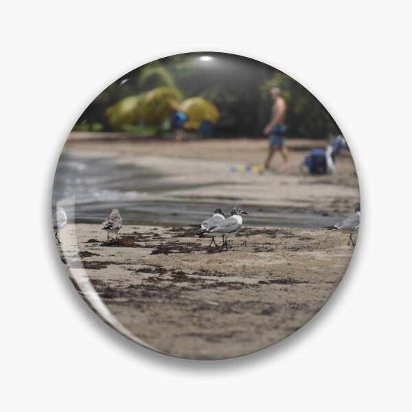 Item preview, Seagull Beach Day designed and sold by Morgs22Dis.