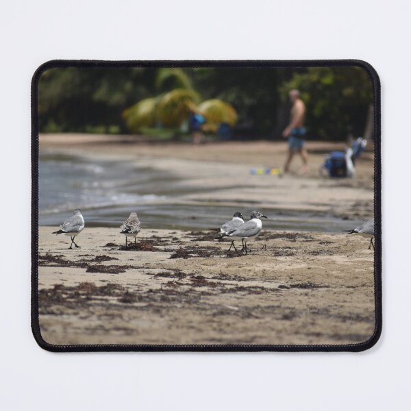 Item preview, Seagull Beach Day designed and sold by Morgs22Dis.