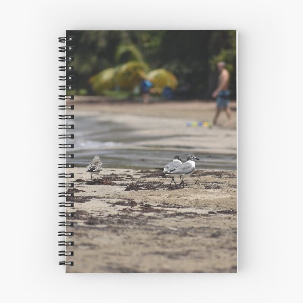 Item preview, Seagull Beach Day designed and sold by Morgs22Dis.