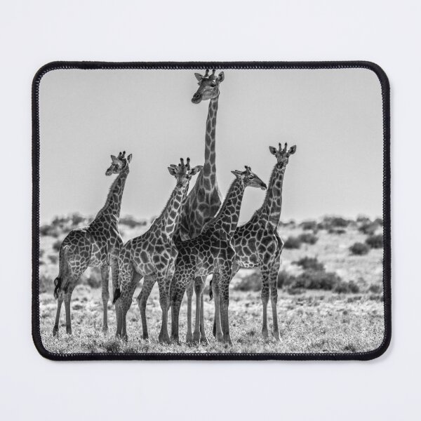 Item preview, Monochrome Tower — Giraffe Family on the Open Plain designed and sold by DavideAntoniani.
