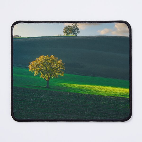Item preview, Solitary Trees at Sunset in Val d'Orcia Rolling Tuscan Hills designed and sold by Stefano Orazzini.