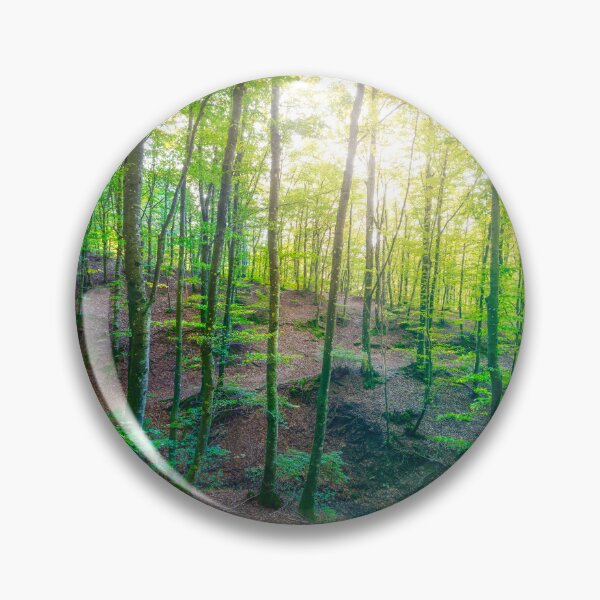 Item preview, Enchanted Forest Sunlight, Acquerino Nature Reserve in Autumn designed and sold by Stefano Orazzini.