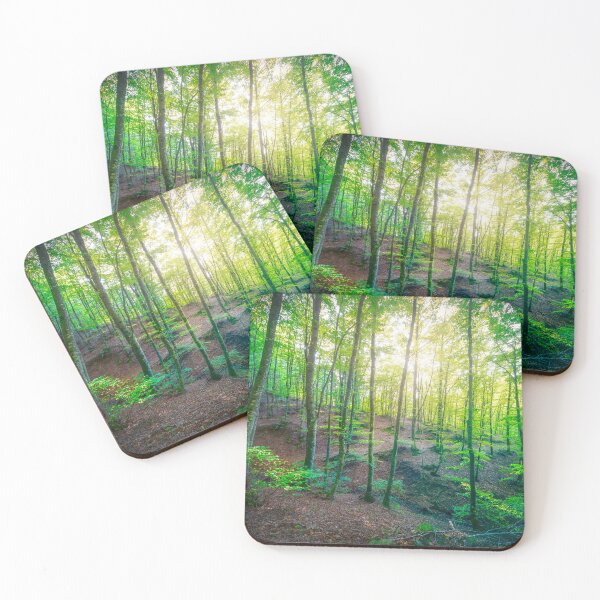 Item preview, Enchanted Forest Sunlight, Acquerino Nature Reserve in Autumn designed and sold by Stefano Orazzini.