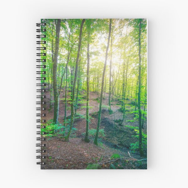 Item preview, Enchanted Forest Sunlight, Acquerino Nature Reserve in Autumn designed and sold by Stefano Orazzini.