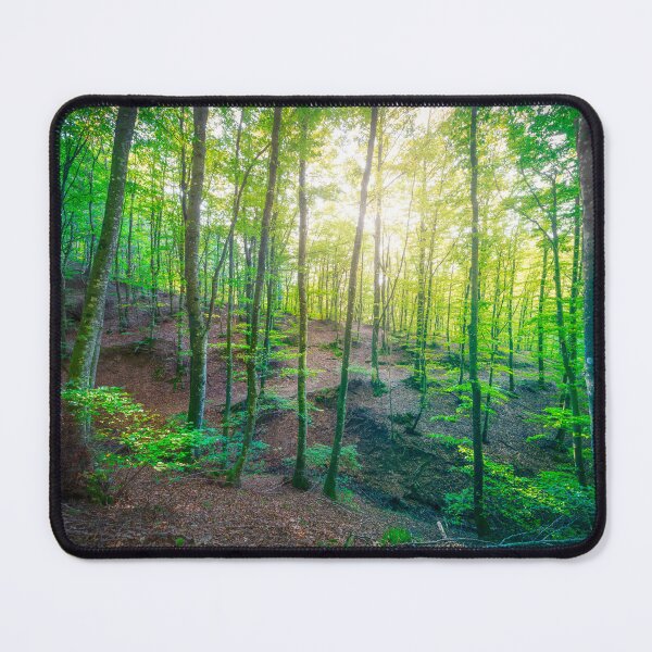 Item preview, Enchanted Forest Sunlight, Acquerino Nature Reserve in Autumn designed and sold by Stefano Orazzini.