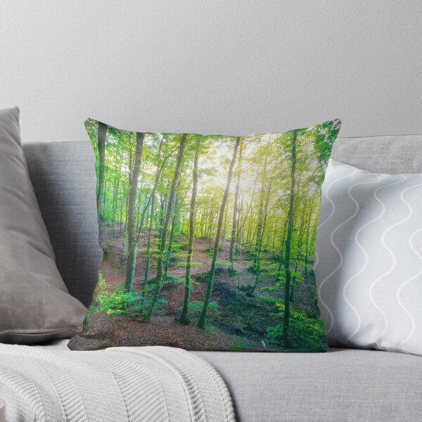 Item preview, Enchanted Forest Sunlight, Acquerino Nature Reserve in Autumn designed and sold by Stefano Orazzini.