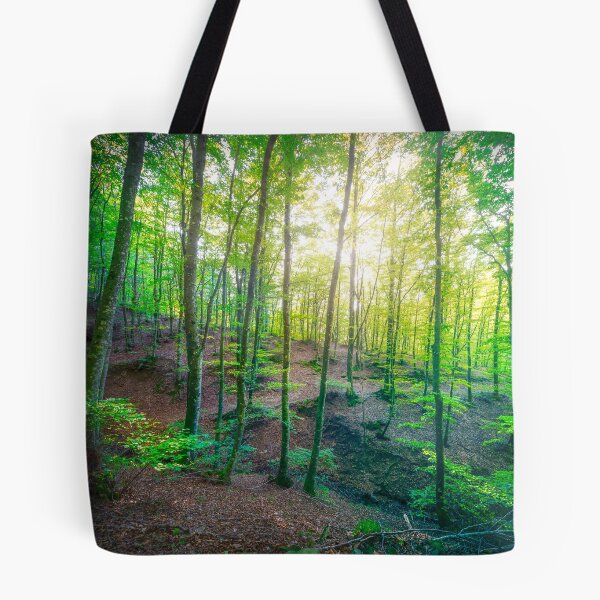 Item preview, Enchanted Forest Sunlight, Acquerino Nature Reserve in Autumn designed and sold by Stefano Orazzini.