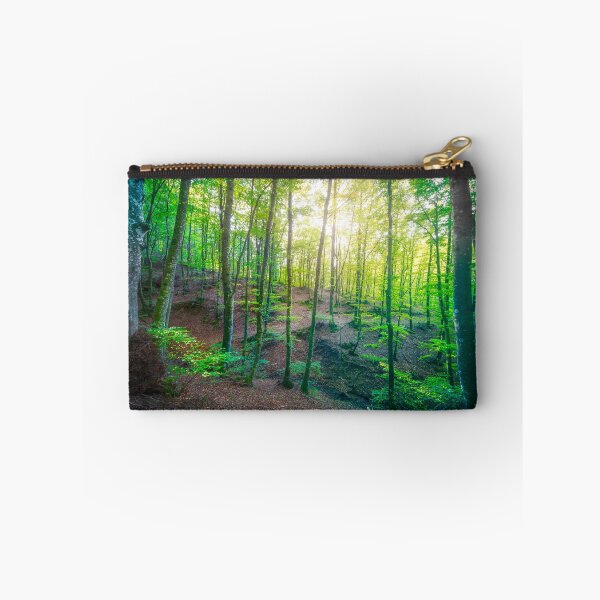 Item preview, Enchanted Forest Sunlight, Acquerino Nature Reserve in Autumn designed and sold by Stefano Orazzini.