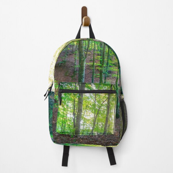 Item preview, Enchanted Forest Sunlight, Acquerino Nature Reserve in Autumn designed and sold by Stefano Orazzini.