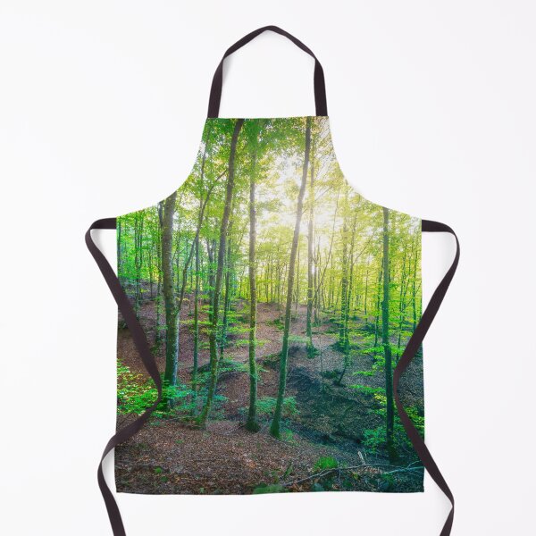 Item preview, Enchanted Forest Sunlight, Acquerino Nature Reserve in Autumn designed and sold by Stefano Orazzini.