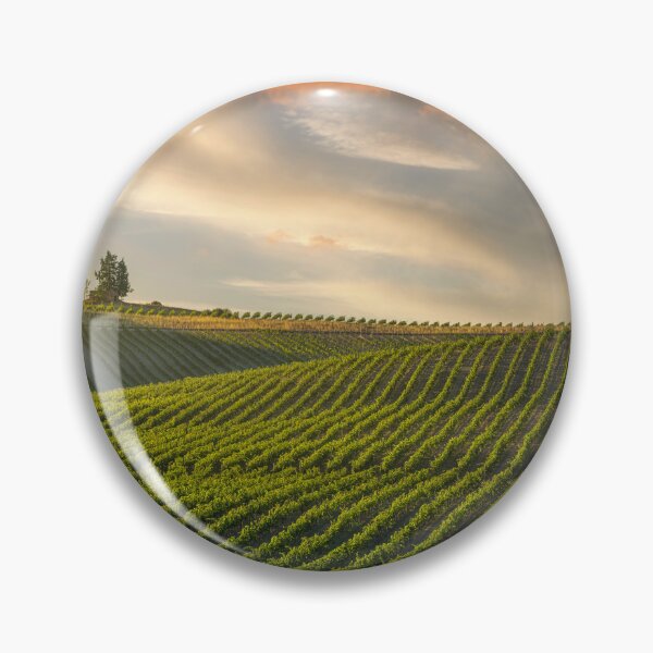 Item preview, Chianti Vineyards at Sunset in Castellina's Historic Wine Country designed and sold by Stefano Orazzini.