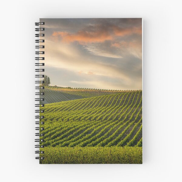 Item preview, Chianti Vineyards at Sunset in Castellina's Historic Wine Country designed and sold by Stefano Orazzini.