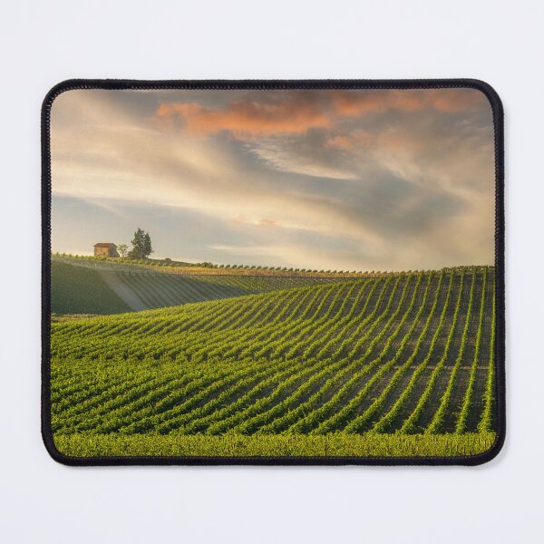 Item preview, Chianti Vineyards at Sunset in Castellina's Historic Wine Country designed and sold by Stefano Orazzini.