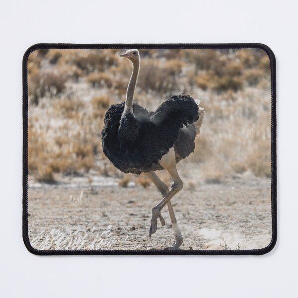 Item preview, Dust-Step Dancer — Ostrich on the Open Plain designed and sold by DavideAntoniani.