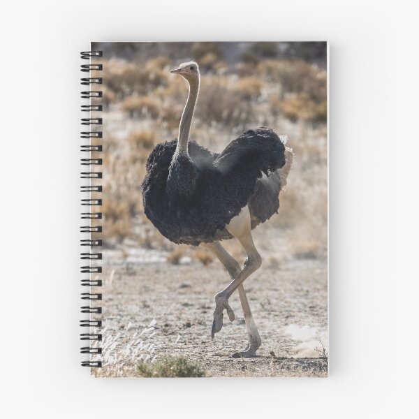Item preview, Dust-Step Dancer — Ostrich on the Open Plain designed and sold by DavideAntoniani.