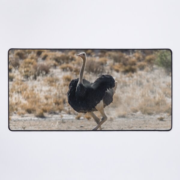 Item preview, Dust-Step Dancer — Ostrich on the Open Plain designed and sold by DavideAntoniani.