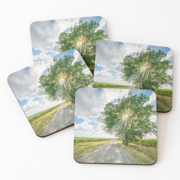 Item preview, Tuscan Wine Country Road and Tree in Bolgheri Vineyards designed and sold by Stefano Orazzini.