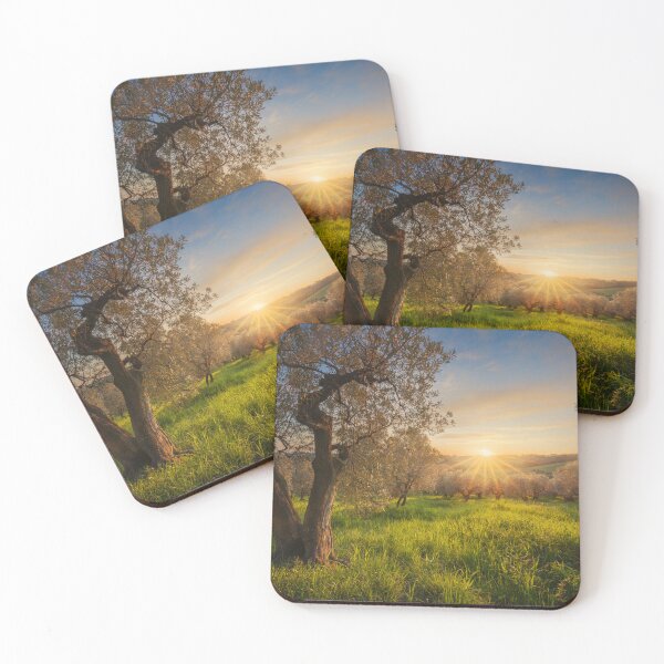 Item preview, Golden Sunset over Tuscan Olive Grove in Casale Marittimo designed and sold by Stefano Orazzini.