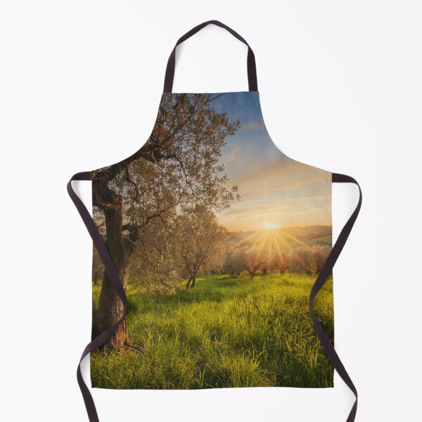 Item preview, Golden Sunset over Tuscan Olive Grove in Casale Marittimo designed and sold by Stefano Orazzini.