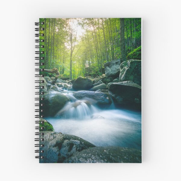 Item preview, Forest Waterfall in Abetone Mountains, Tuscan Apennines Photography designed and sold by Stefano Orazzini.