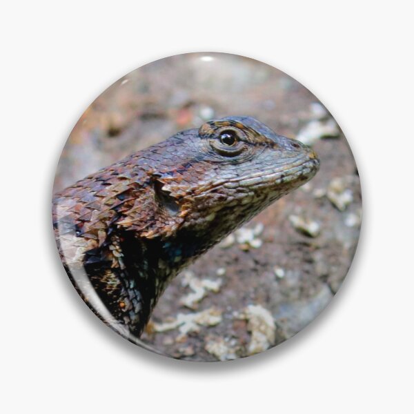 Item preview, Fence Lizard  designed and sold by Parks and X.