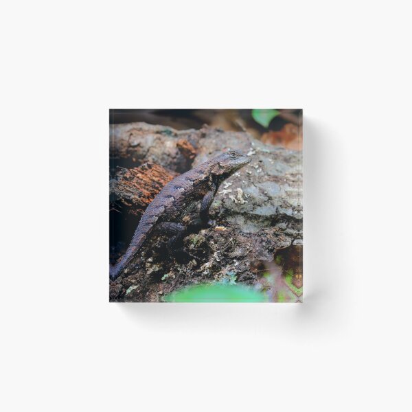 Item preview, Fence Lizard  designed and sold by Parks and X.