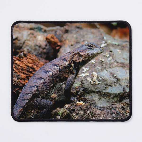 Item preview, Fence Lizard designed and sold by Parks and X.