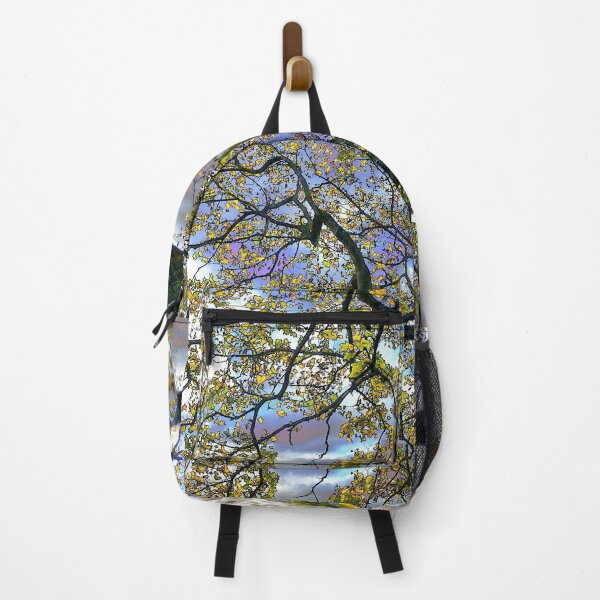 Item preview, Autumn tree, Knavesmire, York 1, coloured sky edit designed and sold by paulboizot.