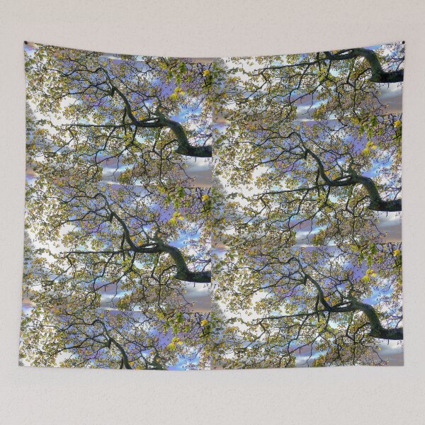 Item preview, Autumn tree, Knavesmire, York 1, coloured sky edit designed and sold by paulboizot.
