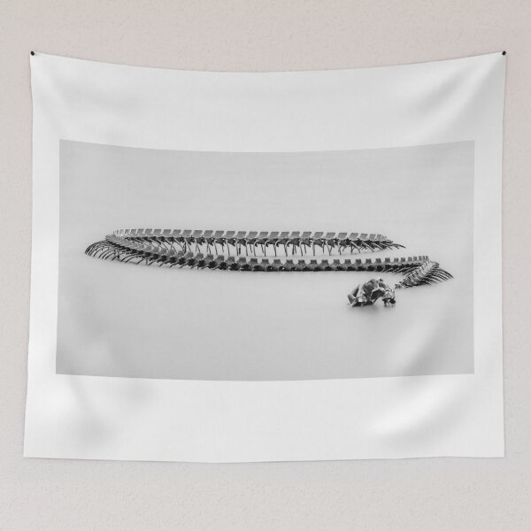 Item preview, Serpent d’Océan B+W designed and sold by Gerard Fornarotto.