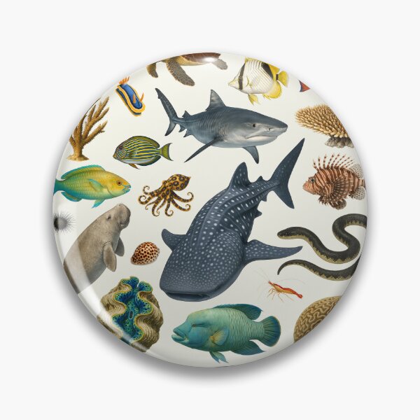Item preview, Animals of The Great Barrier Reef Illustration Chart designed and sold by kakarikihill.