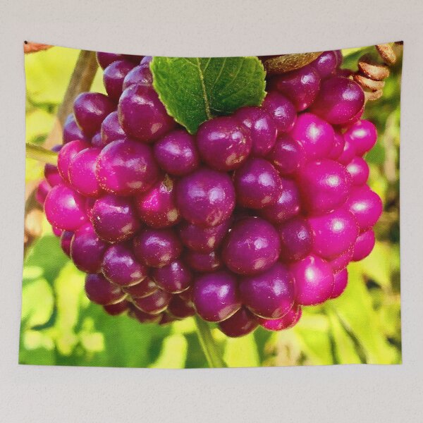 Item preview, American Beautyberry Artwork by Pamela Storch | Nature, Symbolism & Color designed and sold by Pamela Storch.