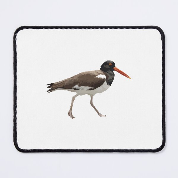 Item preview, Oyster Catcher designed and sold by SeguiNatura.