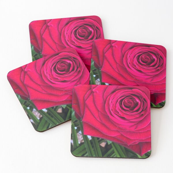 Item preview, Red Rose designed and sold by jalfc46.