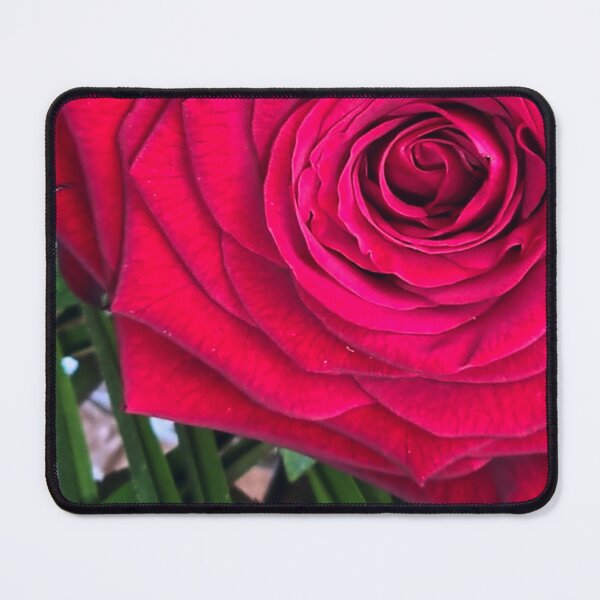 Item preview, Red Rose designed and sold by jalfc46.