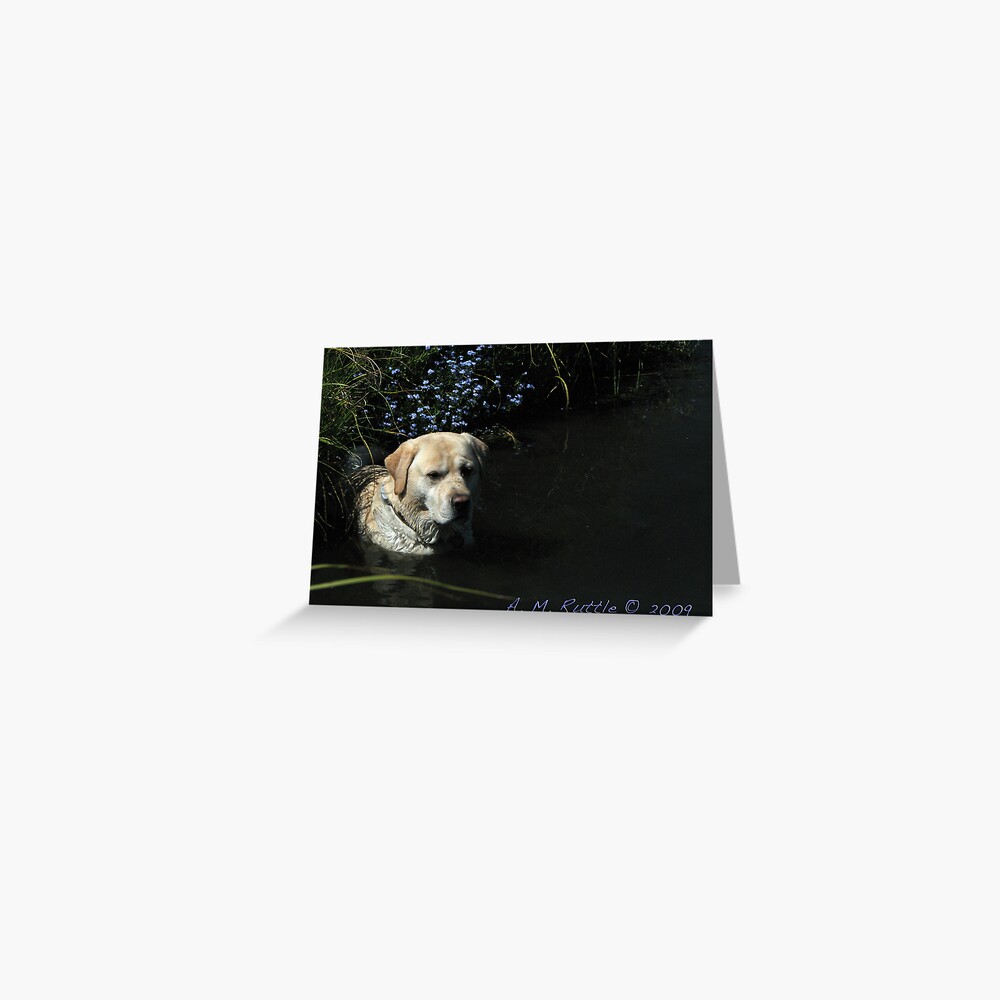 Forget-Me-Nots Greeting Card