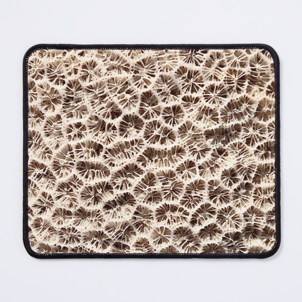 Item preview, Coral Patterns designed and sold by Nicola Morgan.