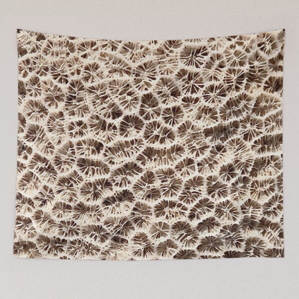 Item preview, Coral Patterns designed and sold by Nicola Morgan.