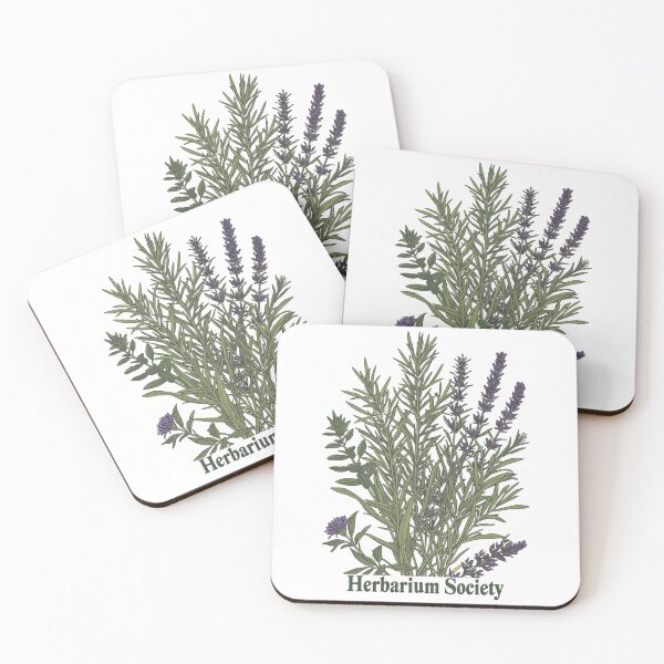 Item preview, Vintage Herbarium Society Illustration - Lavender and Rosemary Art designed and sold by Tucker-Art.