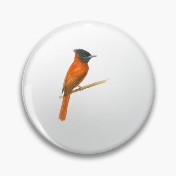 Item preview, Red-bellied Paradise Flycatcher (Terpsiphone rufiventer) designed and sold by HOMETOWN86.