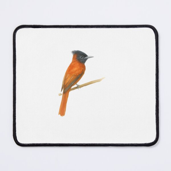 Item preview, Red-bellied Paradise Flycatcher (Terpsiphone rufiventer) designed and sold by HOMETOWN86.