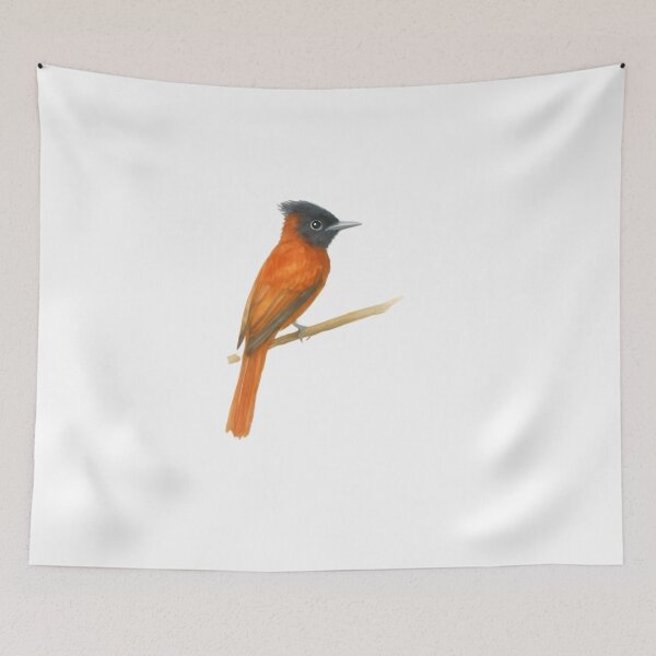 Item preview, Red-bellied Paradise Flycatcher (Terpsiphone rufiventer) designed and sold by HOMETOWN86.