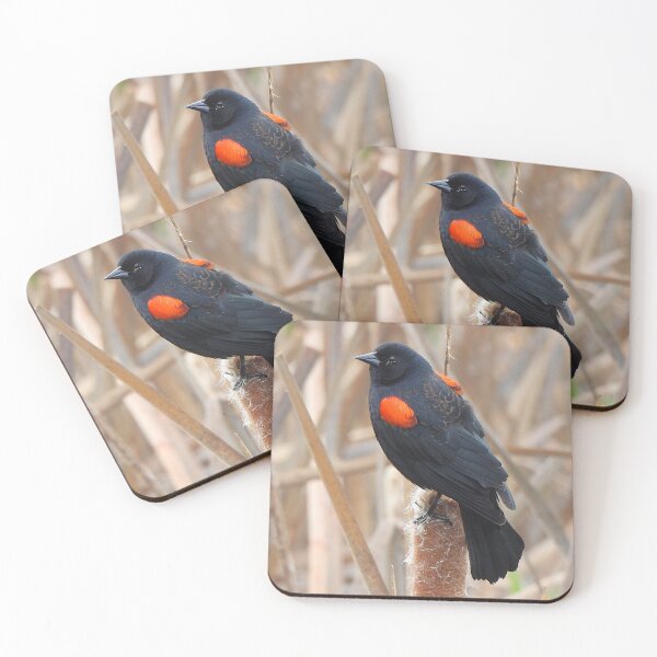 Item preview, Redwing Blackbird on a Cattail designed and sold by Wonders Of Paradise.