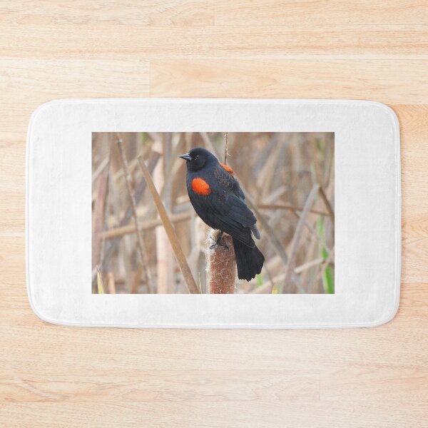 Item preview, Redwing Blackbird on a Cattail designed and sold by Wonders Of Paradise.