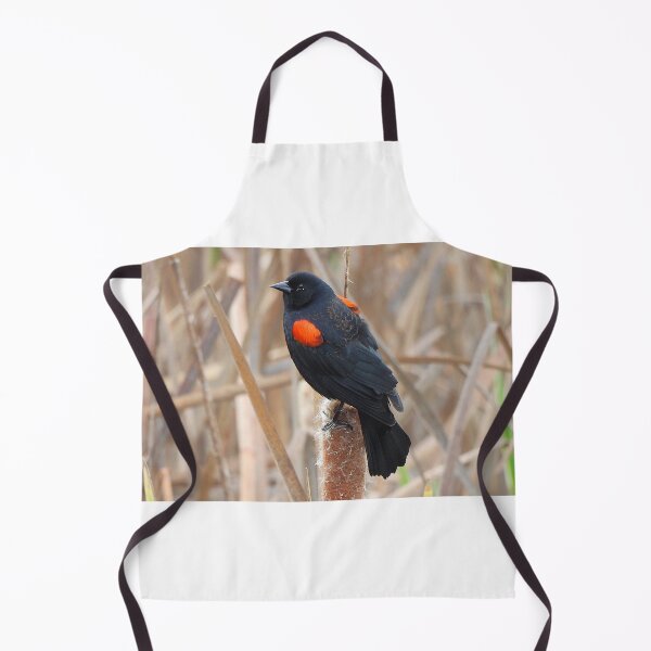 Item preview, Redwing Blackbird on a Cattail designed and sold by Wonders Of Paradise.