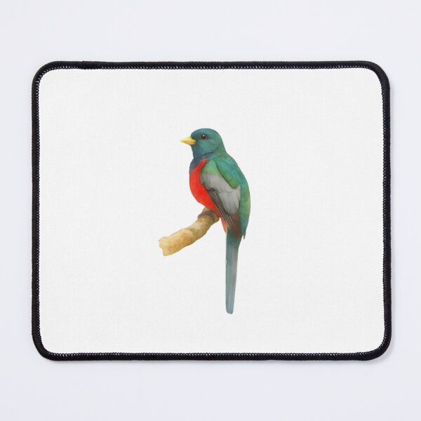 Item preview, Narina Trogon (Apaloderma narina) designed and sold by HOMETOWN86.
