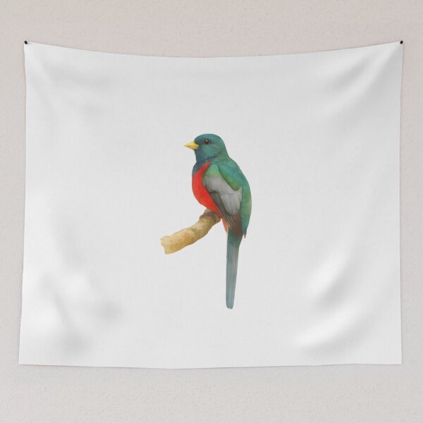 Item preview, Narina Trogon (Apaloderma narina) designed and sold by HOMETOWN86.