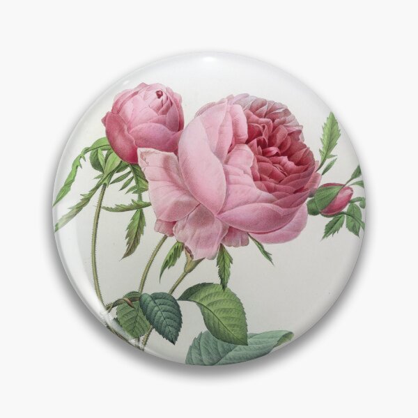 Item preview, Pierre-Joseph Redouté: Rose designed and sold by Tridentulus.